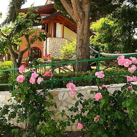 La Dimora Di Radha B&B Centro Olistico Rende Ngoại thất bức ảnh